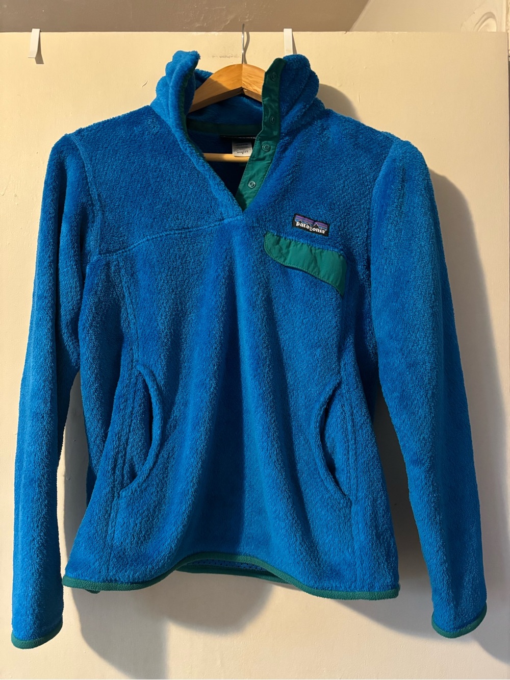 Patagonia Turquoise Blue Fleece Pullover with Green Trim
